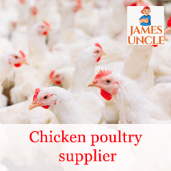 Chicken poultry supplier Mr. Prabir Sutar in Madhyamgram Bazar